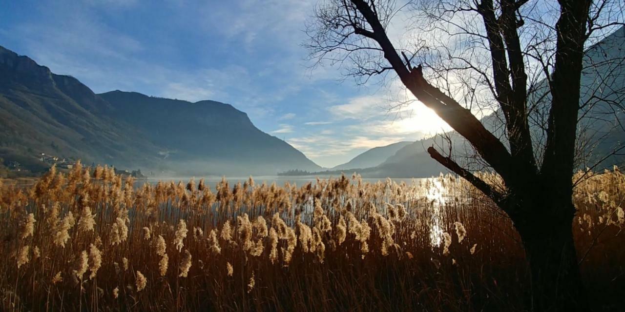 RanzanicoBellavista Lago D'Endineアパートメント エクステリア 写真